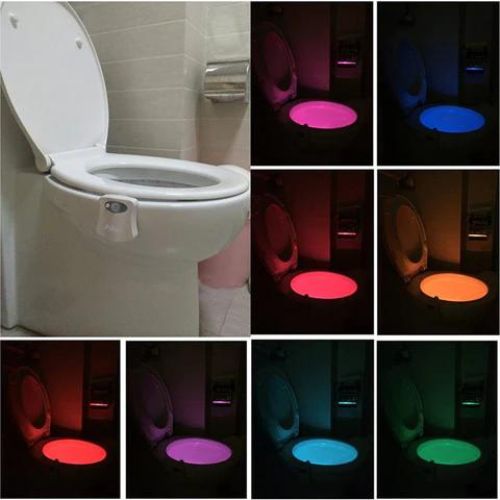 Toilet Night Light